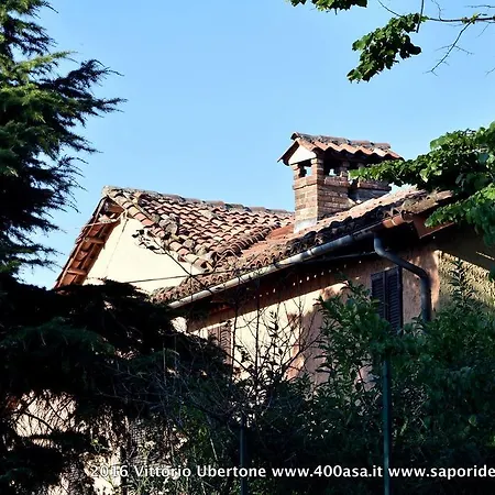Azienda Agricola Simone Cerruti - Moscateria Castiglione Tinella