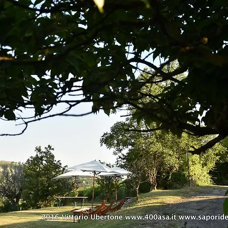 Azienda Agricola Simone Cerruti - Moscateria *